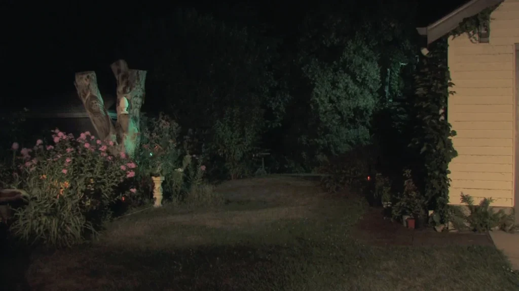 Tree with face carving.