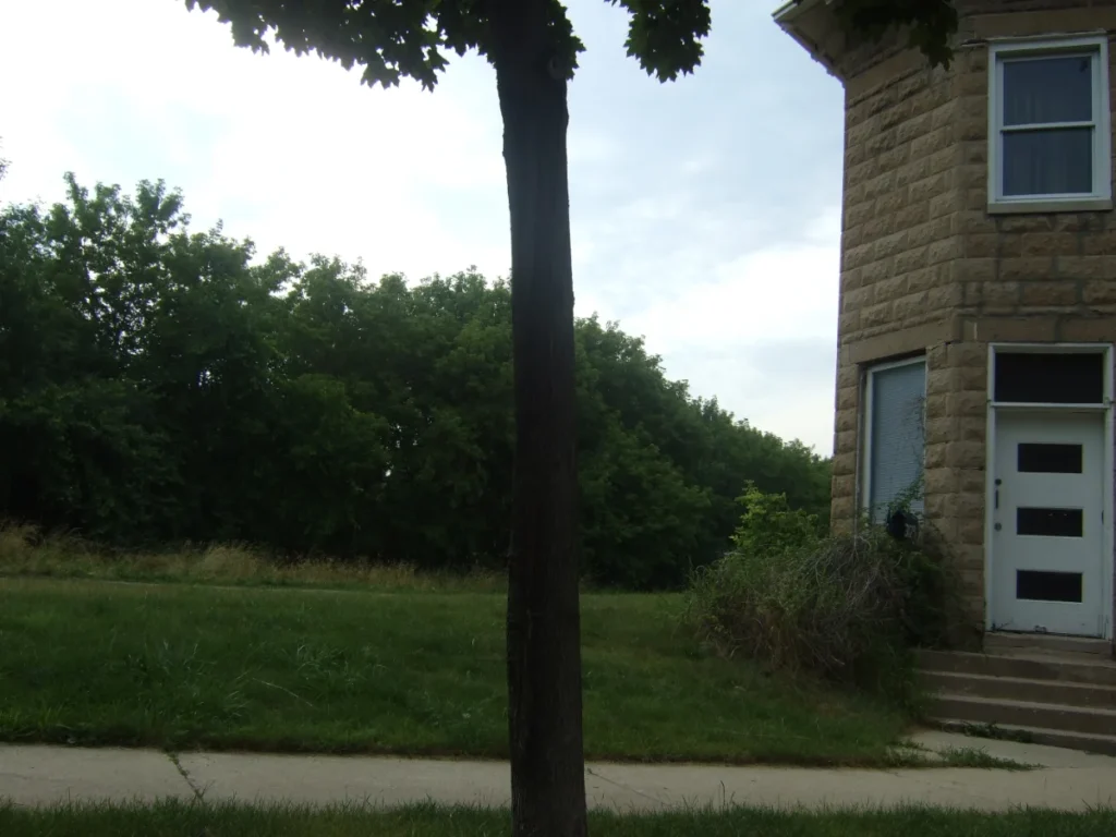 Behind the scenes of the alley. The woods.