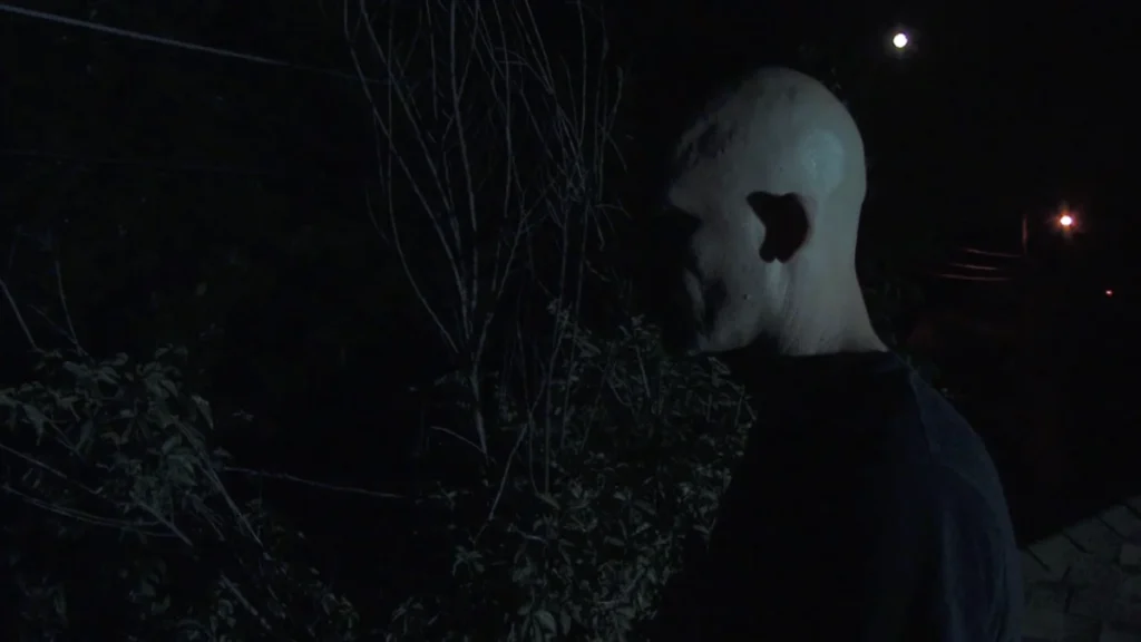 Otto on the rooftop.