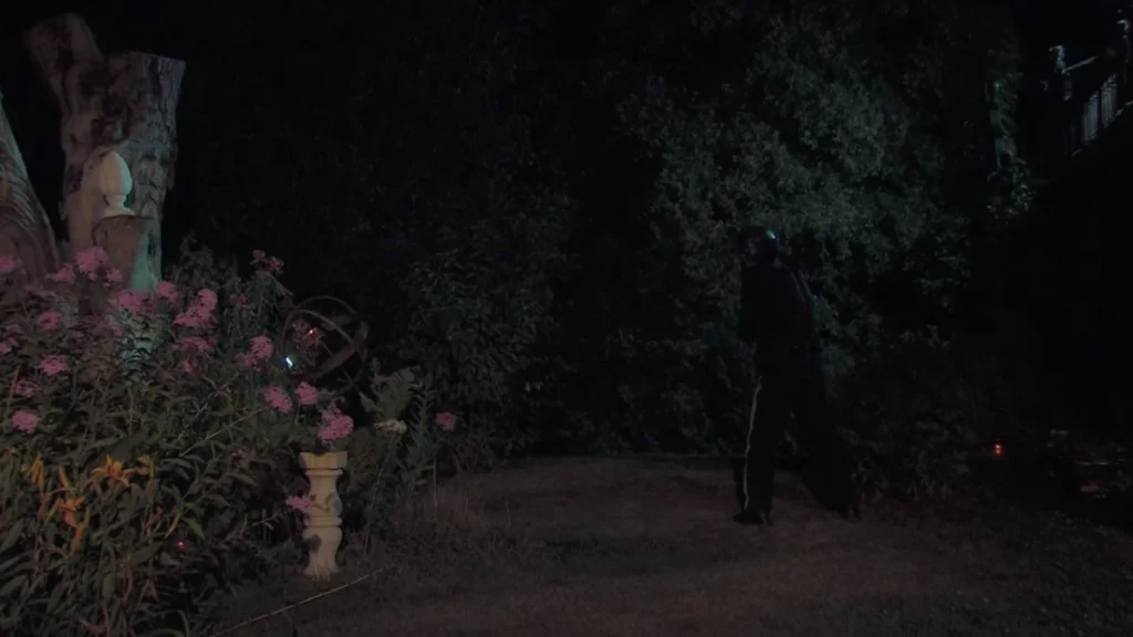 Backyard chase scene. "Tree carving" yard.