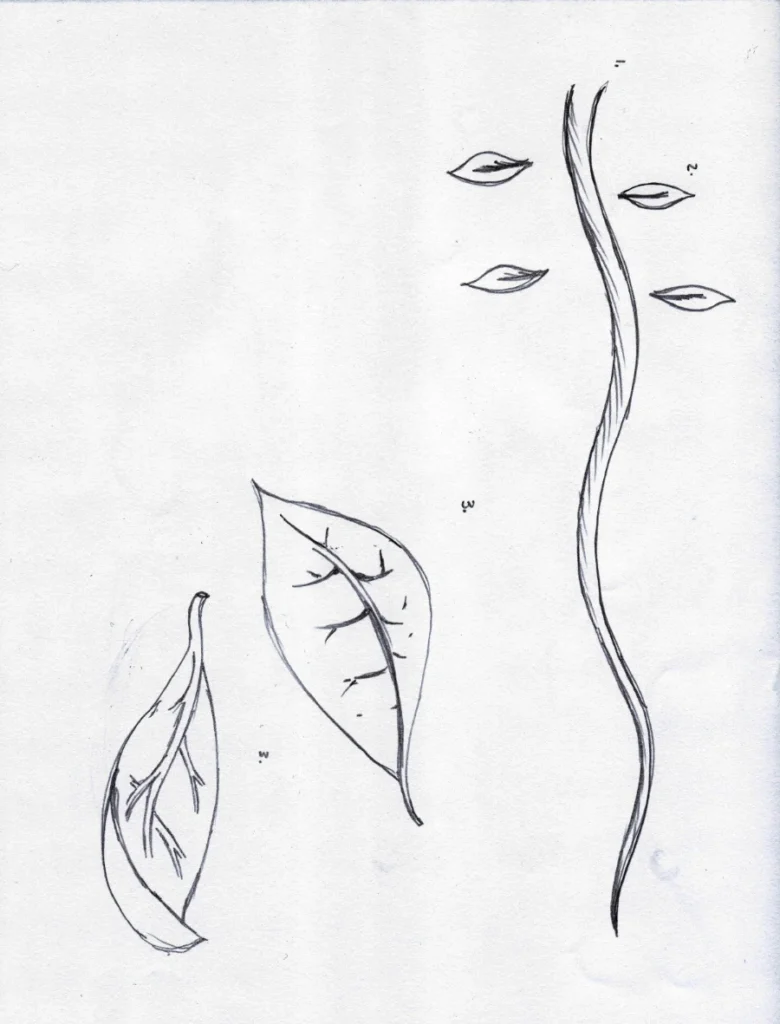 Opening concept drawing 3.